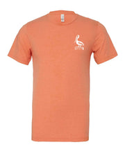 Sunday Funday 1771 Design